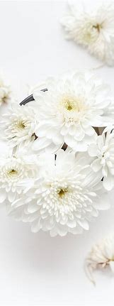 Image result for White HD iPhone Background