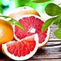 Image result for Growing Grapefruit Trees From Seeds