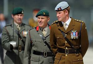 Image result for Prince Harry Royal Marines Uniform