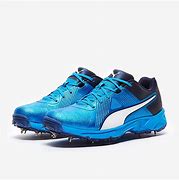 Image result for Puma Cricket Spikes