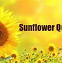 Image result for Sunflower Quotes