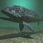 Image result for World's Bigges Fish