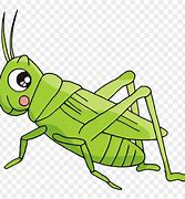 Image result for Cricket Insect Drawing Cartoon