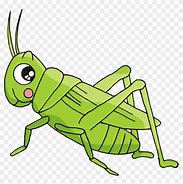 Image result for Cartoon Pic of an Insect Cricket