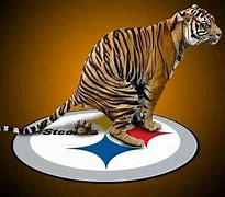 Image result for Bengals Funny