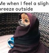 Image result for Cold as Ice Meme