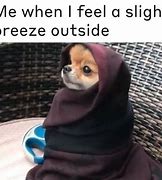 Image result for Funny Memes About Being Cold