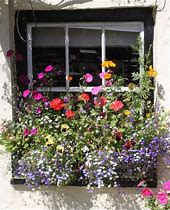 Image result for Window Box Designs