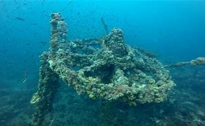 Image result for Coral Reef Sunken Ship
