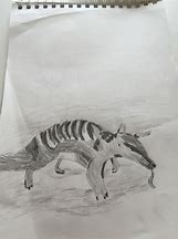 Image result for Sketch for Kids