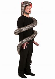 Image result for snake costume