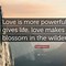 Image result for Relationship Hope Quotes