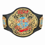 Image result for WWE Title Belt