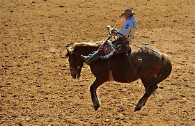 Image result for Rodeo Riding