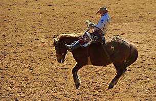 Image result for Rodeo Art