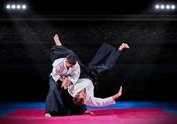 Image result for Types of Martial Arts Styles