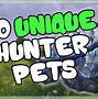 Image result for WoW Classic Hunter Pets