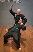 Image result for Best Self Defense Martial Art