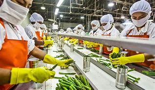 Image result for Food Processing Factories