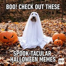 Image result for Halloween Week Memes