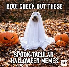 Image result for Halloween Joke Meme