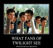 Image result for Twilight Memes Jacob Loca