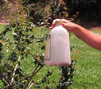 Image result for Fruit Catcher Bags
