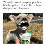 Image result for Pumpkin Spice Basic Meme