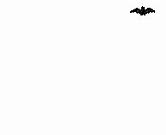 Результаты поиска изображений по запросу "Blind as a Bat Cartoons"