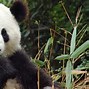 Image result for China Attractions