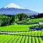 Image result for Antique Japanese Mt. Fuji Print Gilded