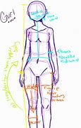 Image result for Simple Anime Anatomy