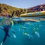 Image result for Whitsunday Island Snorkeling