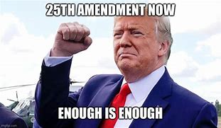 Image result for 25th Amendment Memes