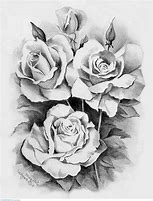 Image result for 5 Roses Drawings