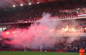 Image result for acr�tifo