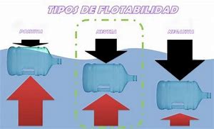 Image result for flotagilidad