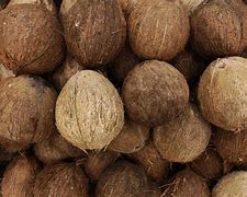 Image result for Coco Fruta