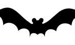 Image result for Simple Cute Bat Drawing