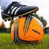Image result for Soccer Ball Professional Fun