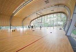 Image result for Sports Architecture