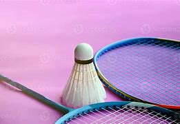 Image result for Badminton Volleyball