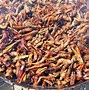 Image result for Fried House Crickets