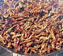 Image result for Fried Crickets