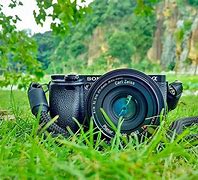Image result for Royalty Free Pictures for Commercial Use