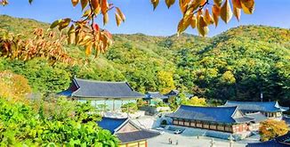 Image result for cheonan