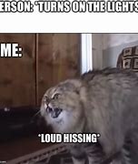 Image result for Hissing Cat Meme