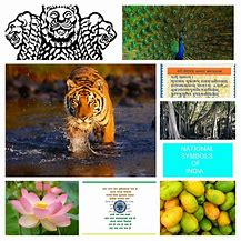Image result for National Symbols of India