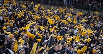 Image result for True Steelers Fans