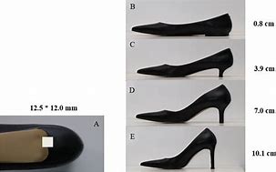 Image result for Haflinger Shoe Size Chart